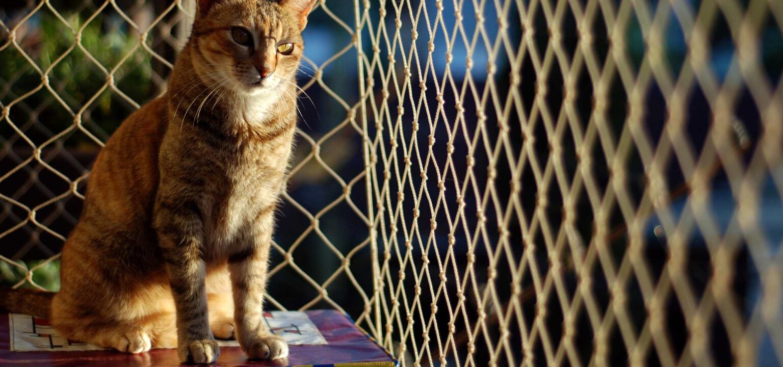 Pets Safety Nets installed on a balcony for a cat