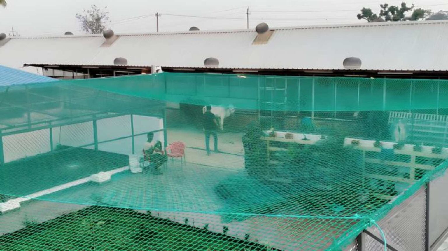 Open Area Safety Net installed across a large open space